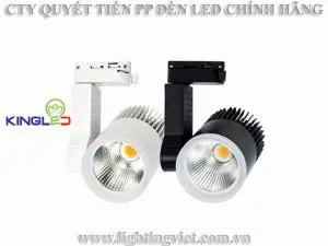 Đèn rọi ray Beryl