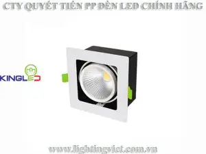 Đèn led hộp âm trần rọi Topaz