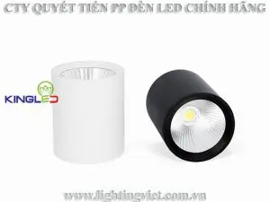 Đèn ống bơ chiếu rọi