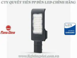 Đèn đường led CSD09