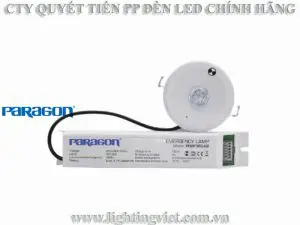Đèn chiếu sáng sự cố âm trần