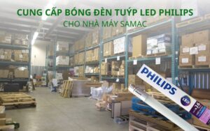 cung cấp bóng đèn tuýp led philips