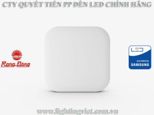 Đèn led ốp trần vuông LN30N