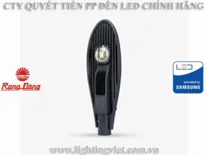Đèn đường led CSD02 60W